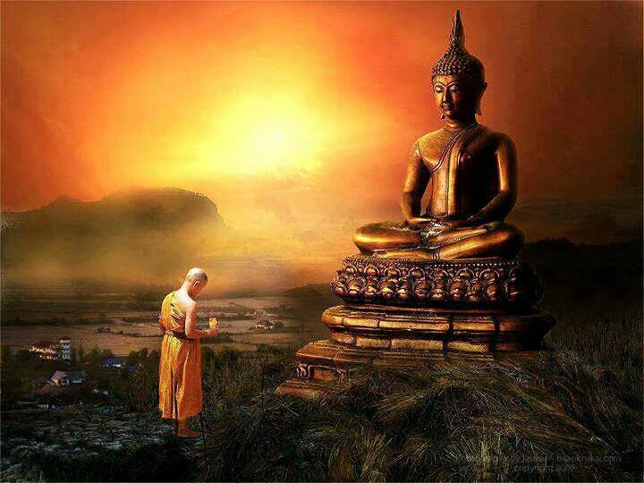 Ảnh minh họa - Ảnh: Internet